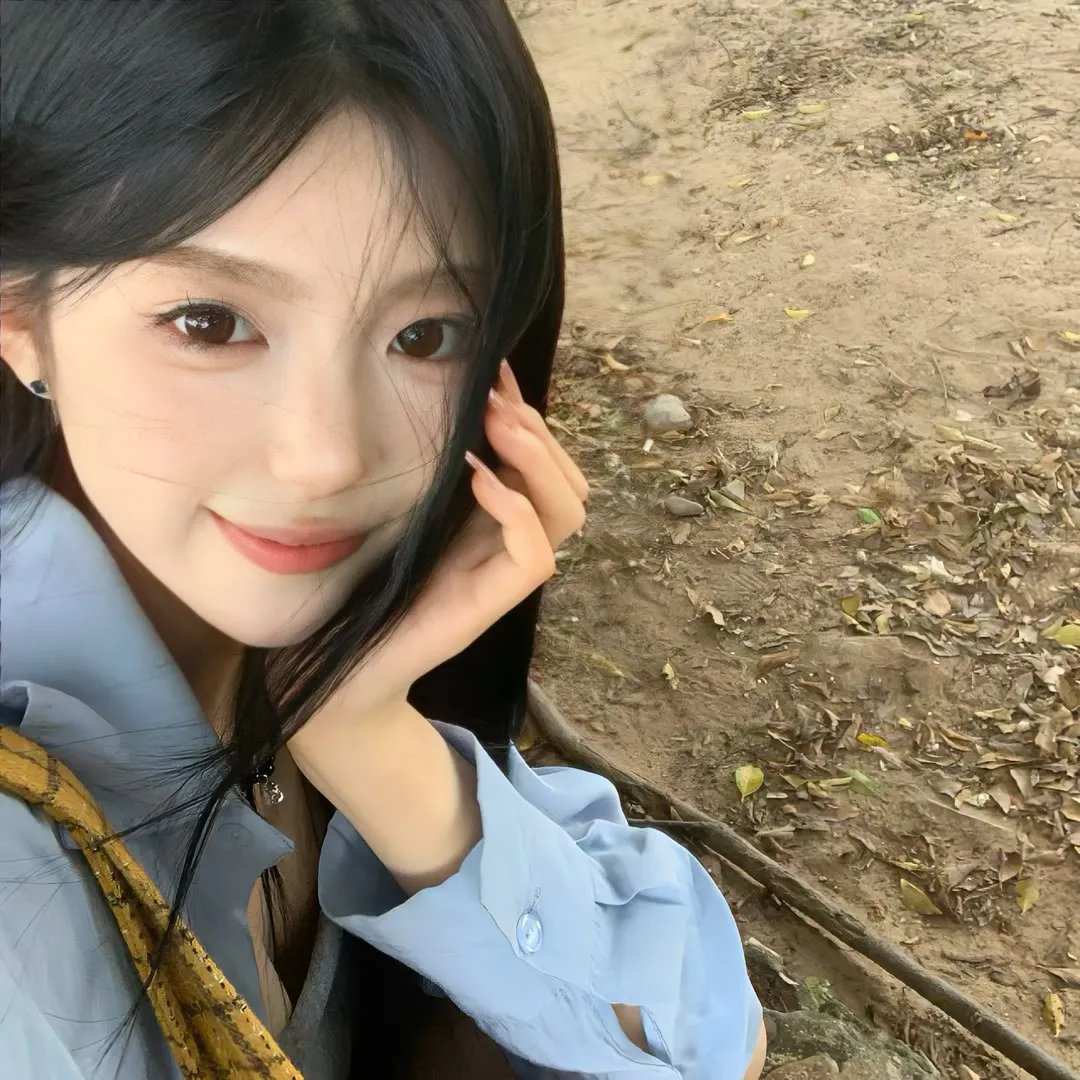 暴龙真相