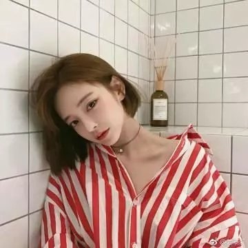 边塞丽春花